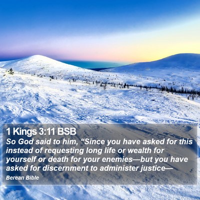 1 Kings 3:11 BSB Bible Verse Image
