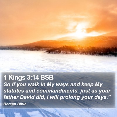 1 Kings 3:14 BSB Bible Verse Image