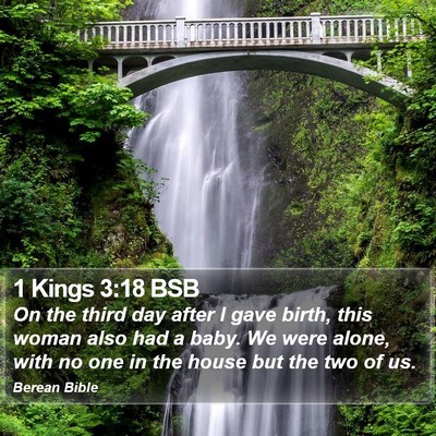 1 Kings 3:18 BSB Bible Verse Image