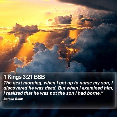 1 Kings 3:21 BSB Bible Verse Image