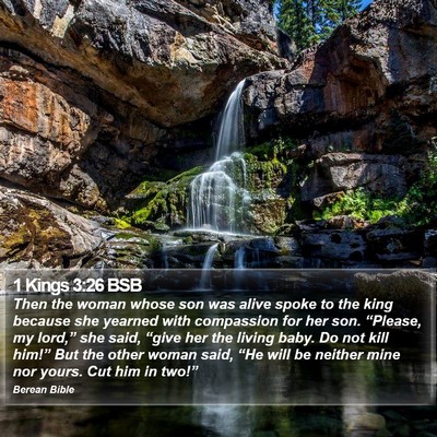 1 Kings 3:26 BSB Bible Verse Image