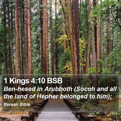1 Kings 4:10 BSB Bible Verse Image
