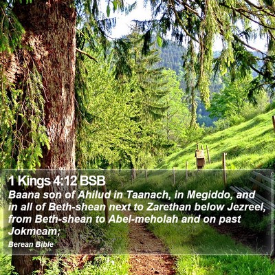 1 Kings 4:12 BSB Bible Verse Image