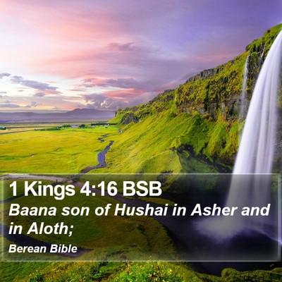 1 Kings 4:16 BSB Bible Verse Image
