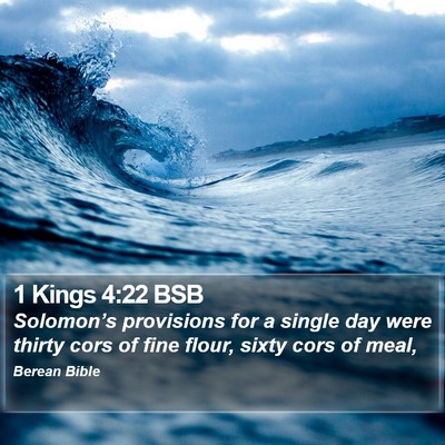 1 Kings 4:22 BSB Bible Verse Image