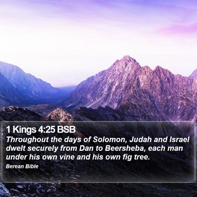 1 Kings 4:25 BSB Bible Verse Image