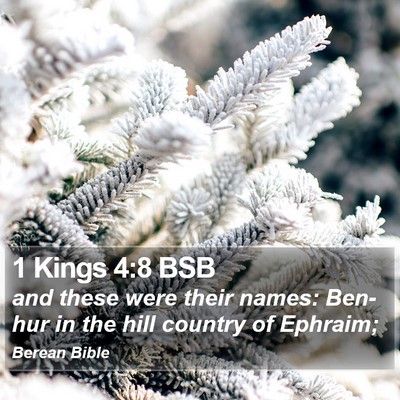 1 Kings 4:8 BSB Bible Verse Image