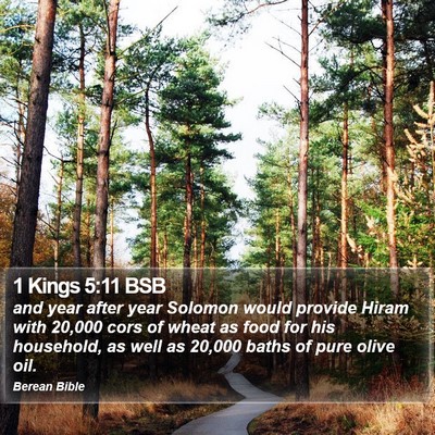 1 Kings 5:11 BSB Bible Verse Image