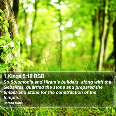 1 Kings 5:18 BSB Bible Verse Image