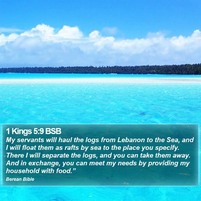 1 Kings 5:9 BSB Bible Verse Image