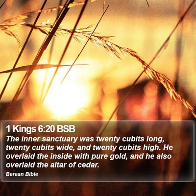 1 Kings 6:20 BSB Bible Verse Image