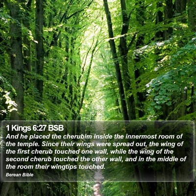 1 Kings 6:27 BSB Bible Verse Image