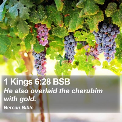 1 Kings 6:28 BSB Bible Verse Image