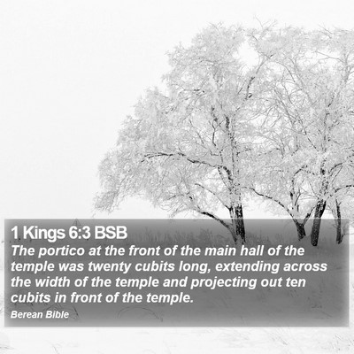 1 Kings 6:3 BSB Bible Verse Image