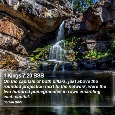 1 Kings 7:20 BSB Bible Verse Image