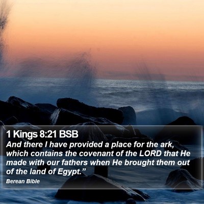 1 Kings 8:21 BSB Bible Verse Image