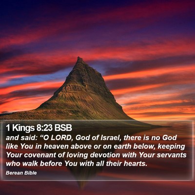 1 Kings 8:23 BSB Bible Verse Image