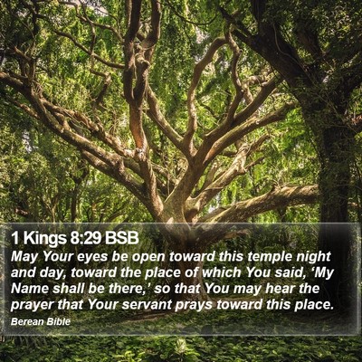 1 Kings 8:29 BSB Bible Verse Image