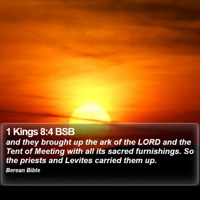 1 Kings 8:4 BSB Bible Verse Image