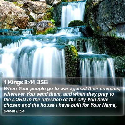 1 Kings 8:44 BSB Bible Verse Image