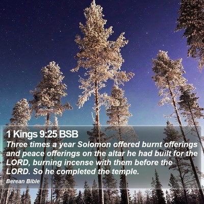 1 Kings 9:25 BSB Bible Verse Image