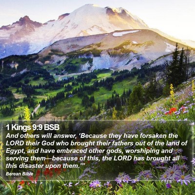1 Kings 9:9 BSB Bible Verse Image