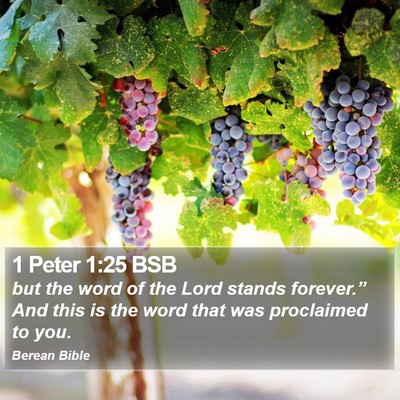 1 Peter 1:25 BSB Bible Verse Image