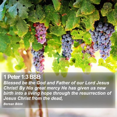 1 Peter 1:3 BSB Bible Verse Image
