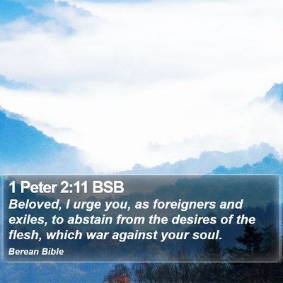 1 Peter 2:11 BSB Bible Verse Image