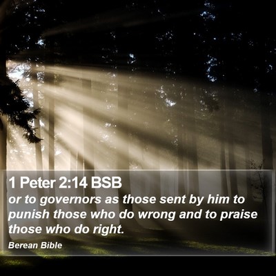 1 Peter 2:14 BSB Bible Verse Image