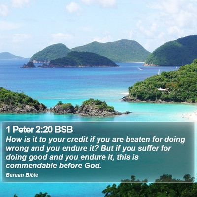 1 Peter 2:20 BSB Bible Verse Image