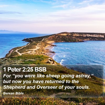 1 Peter 2:25 BSB Bible Verse Image