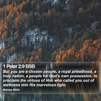 1 Peter 2:9 BSB Bible Verse Image