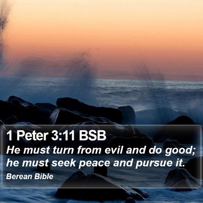 1 Peter 3:11 BSB Bible Verse Image