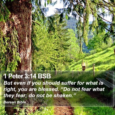 1 Peter 3:14 BSB Bible Verse Image