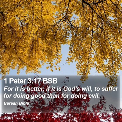 1 Peter 3:17 BSB Bible Verse Image