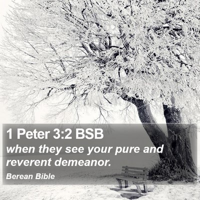 1 Peter 3:2 BSB Bible Verse Image