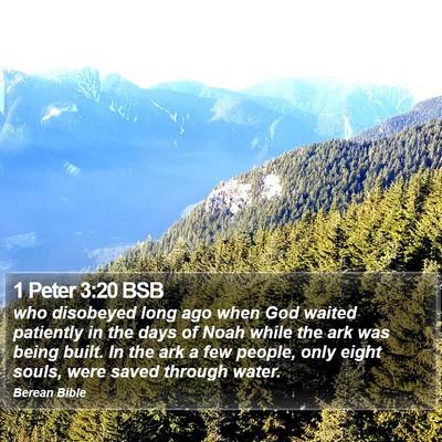 1 Peter 3:20 BSB Bible Verse Image