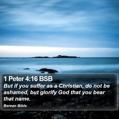 1 Peter 4:16 BSB Bible Verse Image