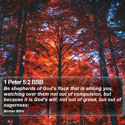 1 Peter 5:2 BSB Bible Verse Image