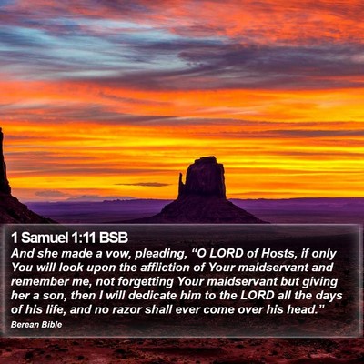 1 Samuel 1:11 BSB Bible Verse Image