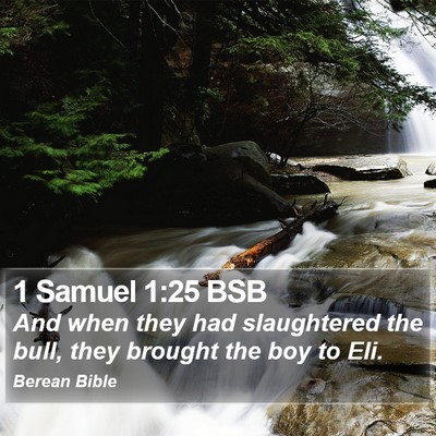 1 Samuel 1:25 BSB Bible Verse Image
