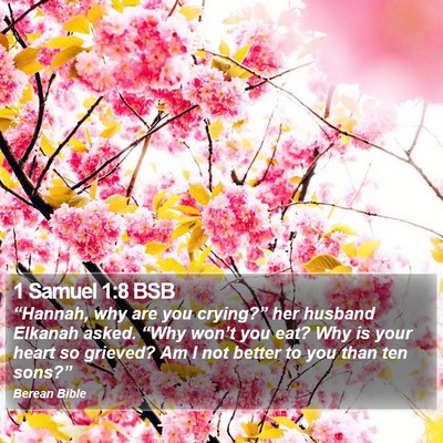 1 Samuel 1:8 BSB Bible Verse Image