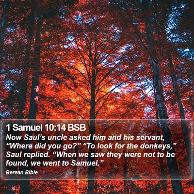 1 Samuel 10:14 BSB Bible Verse Image