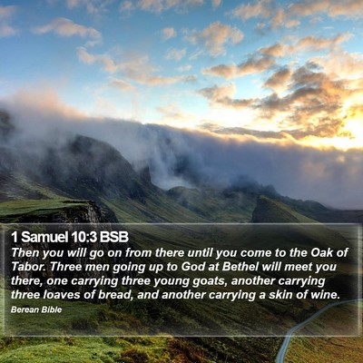 1 Samuel 10:3 BSB Bible Verse Image