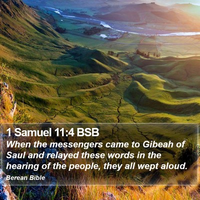 1 Samuel 11:4 BSB Bible Verse Image
