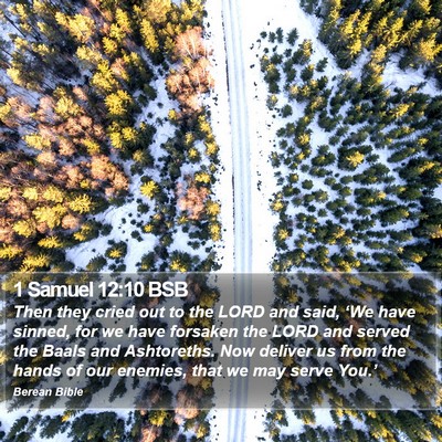 1 Samuel 12:10 BSB Bible Verse Image