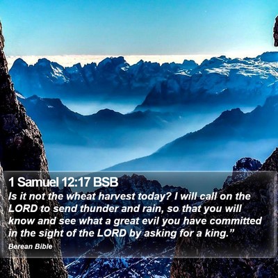 1 Samuel 12:17 BSB Bible Verse Image