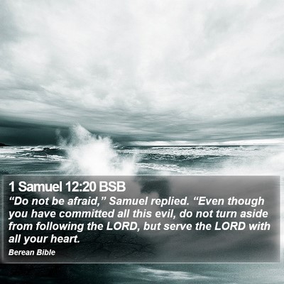 1 Samuel 12:20 BSB Bible Verse Image
