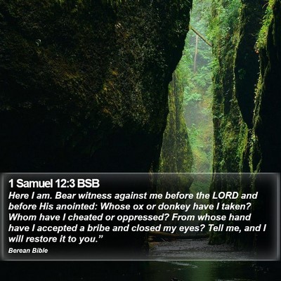 1 Samuel 12:3 BSB Bible Verse Image